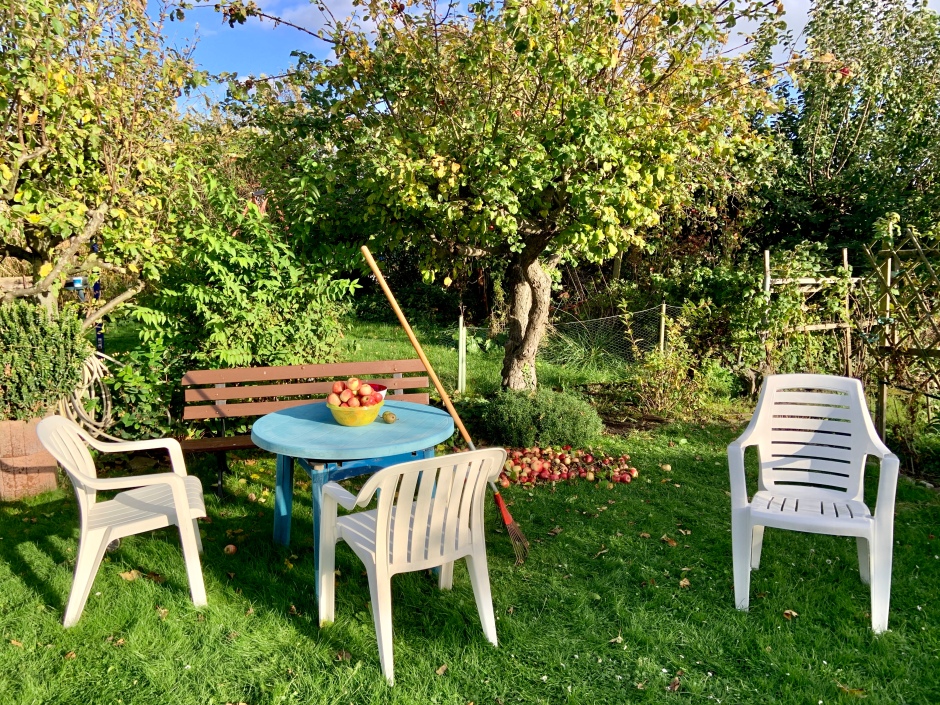 auf einem blauen Tisch unter einem Apfelbaum steht eine Schüssel mit Äpfeln. Um den Tisch herum stehen weiße Gartenstühle. Ein Laubrechen lehnt am Tisch. Unter dem Apfelbaum liegen sehr viele Äpfel.
